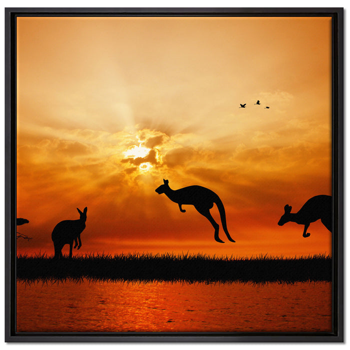 Kängurus im Sonnenlicht auf Leinwandbild Quadratisch gerahmt Größe 70x70