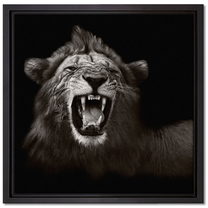 Dark Brüllender Löwe auf Leinwandbild Quadratisch gerahmt Größe 40x40
