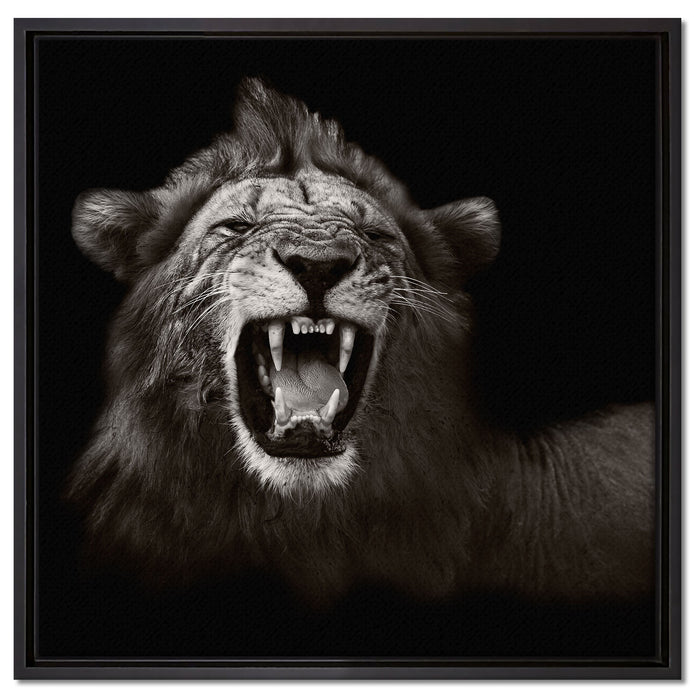 Dark Brüllender Löwe auf Leinwandbild Quadratisch gerahmt Größe 60x60