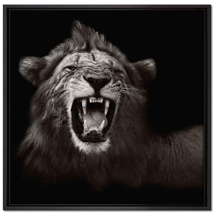Dark Brüllender Löwe auf Leinwandbild Quadratisch gerahmt Größe 70x70