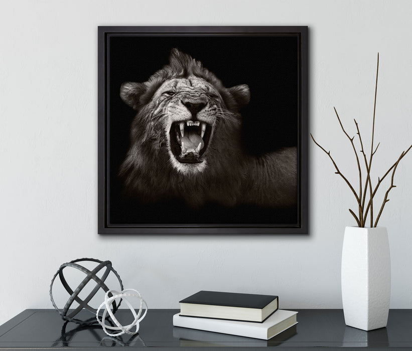 Dark Brüllender Löwe  auf Leinwandbild Quadratisch gerahmt mit Kirschblüten