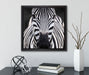 Zebra Porträt  auf Leinwandbild Quadratisch gerahmt mit Kirschblüten