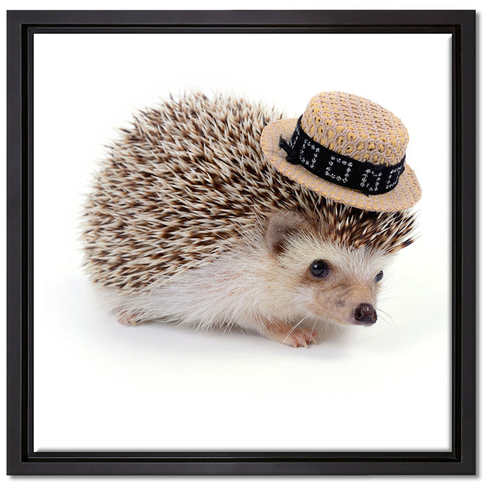 Lustiger Igel mit Hut auf Leinwandbild Quadratisch gerahmt Größe 40x40