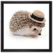 Lustiger Igel mit Hut auf Leinwandbild Quadratisch gerahmt Größe 40x40