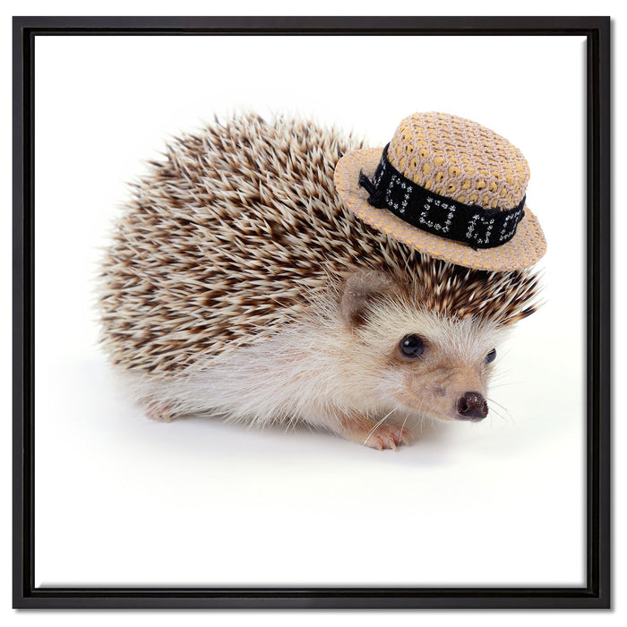 Lustiger Igel mit Hut auf Leinwandbild Quadratisch gerahmt Größe 60x60