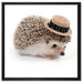 Lustiger Igel mit Hut auf Leinwandbild Quadratisch gerahmt Größe 60x60