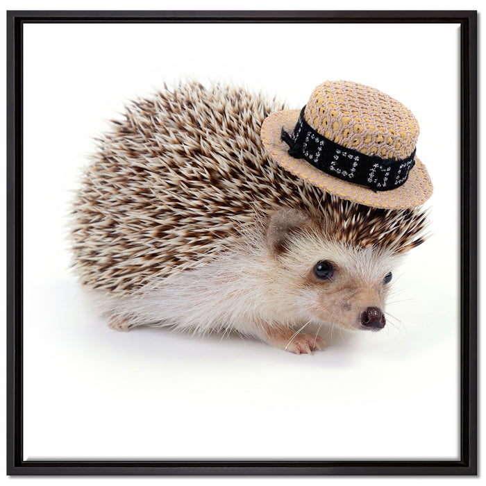 Lustiger Igel mit Hut auf Leinwandbild Quadratisch gerahmt Größe 70x70