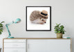 Lustiger Igel mit Hut auf Leinwandbild gerahmt Quadratisch verschiedene Größen im Wohnzimmer