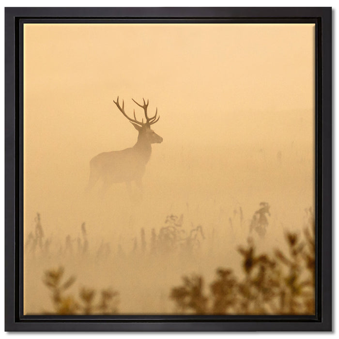 Hirsch im Nebel auf Leinwandbild Quadratisch gerahmt Größe 40x40