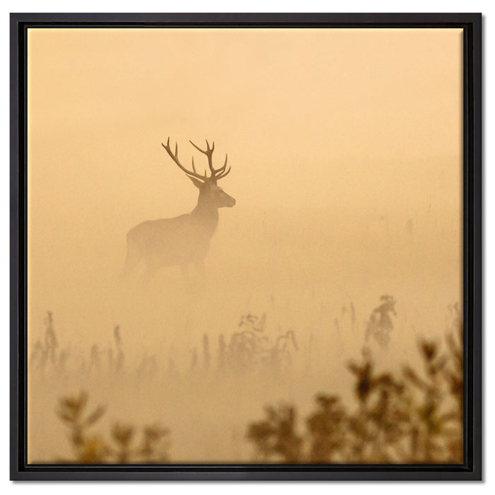 Hirsch im Nebel auf Leinwandbild Quadratisch gerahmt Größe 60x60