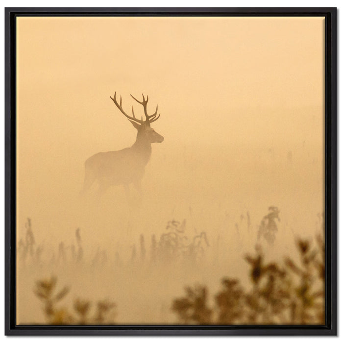 Hirsch im Nebel auf Leinwandbild Quadratisch gerahmt Größe 70x70