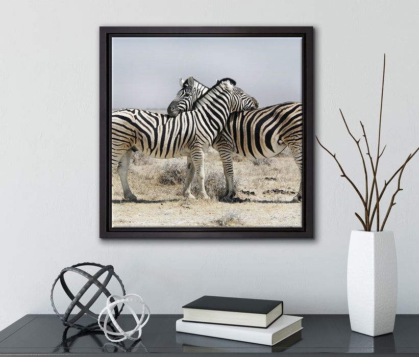 Schmusende Zebras  auf Leinwandbild Quadratisch gerahmt mit Kirschblüten