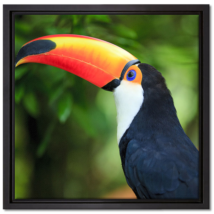Bunter Tukan auf Leinwandbild Quadratisch gerahmt Größe 40x40