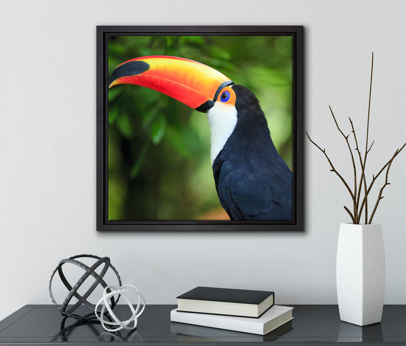 Bunter Tukan  auf Leinwandbild Quadratisch gerahmt mit Kirschblüten