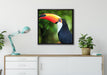 Bunter Tukan auf Leinwandbild gerahmt Quadratisch verschiedene Größen im Wohnzimmer