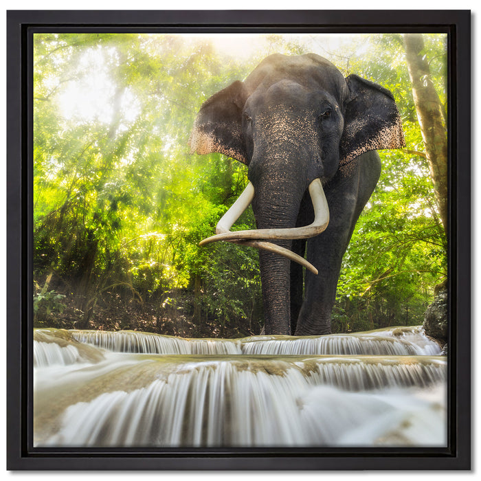 Elefant am Bach auf Leinwandbild Quadratisch gerahmt Größe 40x40