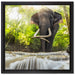 Elefant am Bach auf Leinwandbild Quadratisch gerahmt Größe 40x40