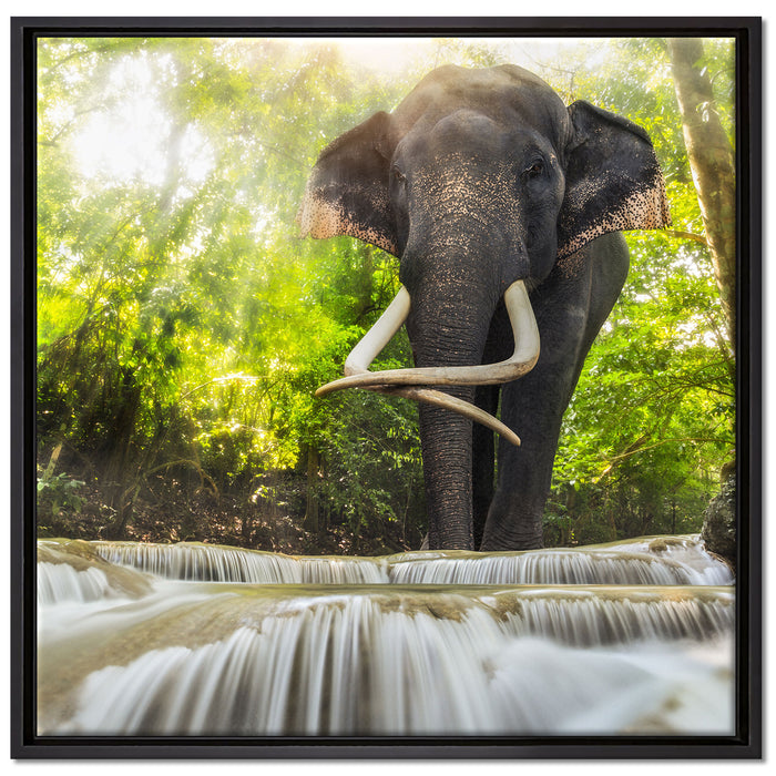 Elefant am Bach auf Leinwandbild Quadratisch gerahmt Größe 70x70