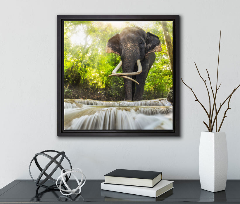 Elefant am Bach  auf Leinwandbild Quadratisch gerahmt mit Kirschblüten