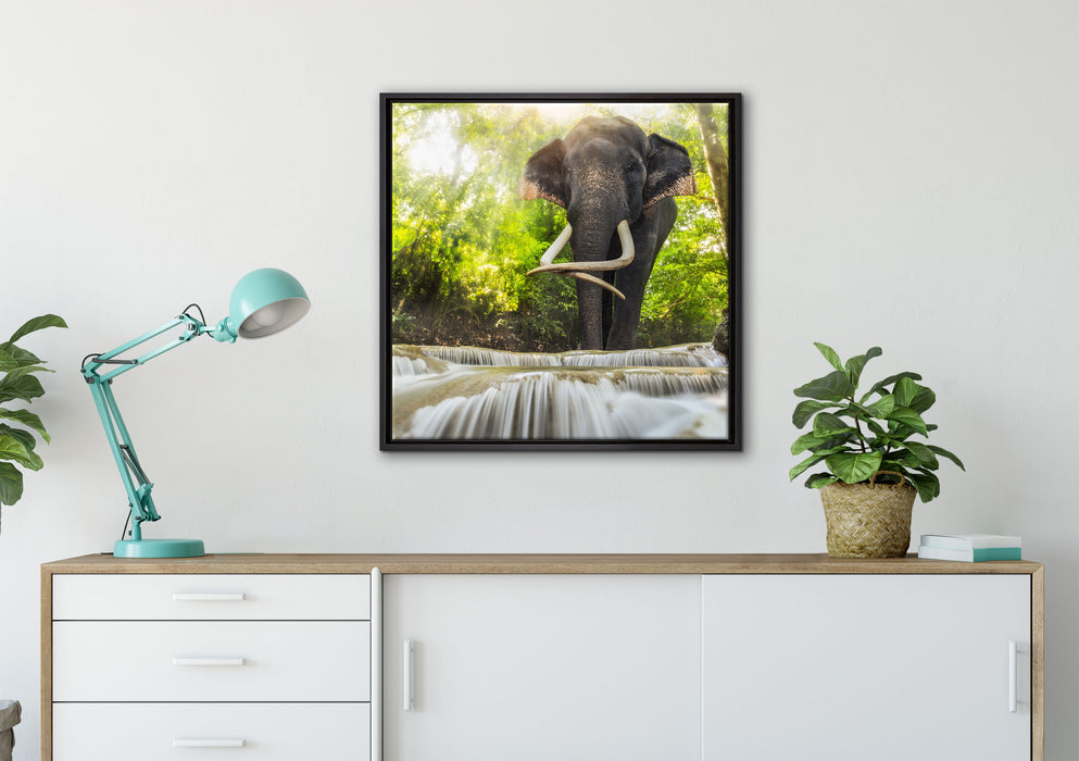 Elefant am Bach auf Leinwandbild gerahmt Quadratisch verschiedene Größen im Wohnzimmer