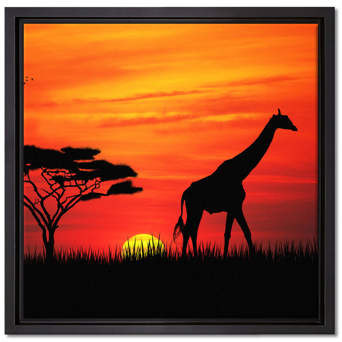 Giraffe im Sonnenuntergang auf Leinwandbild Quadratisch gerahmt Größe 40x40