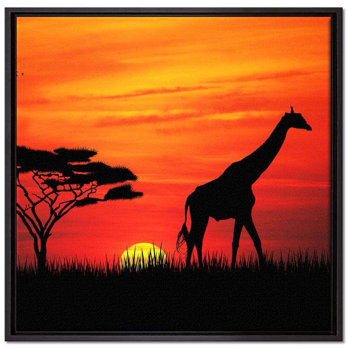 Giraffe im Sonnenuntergang auf Leinwandbild Quadratisch gerahmt Größe 70x70