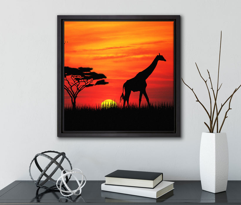 Giraffe im Sonnenuntergang  auf Leinwandbild Quadratisch gerahmt mit Kirschblüten