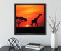 Giraffe im Sonnenuntergang  auf Leinwandbild Quadratisch gerahmt mit Kirschblüten