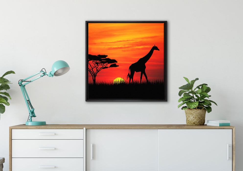 Giraffe im Sonnenuntergang auf Leinwandbild gerahmt Quadratisch verschiedene Größen im Wohnzimmer