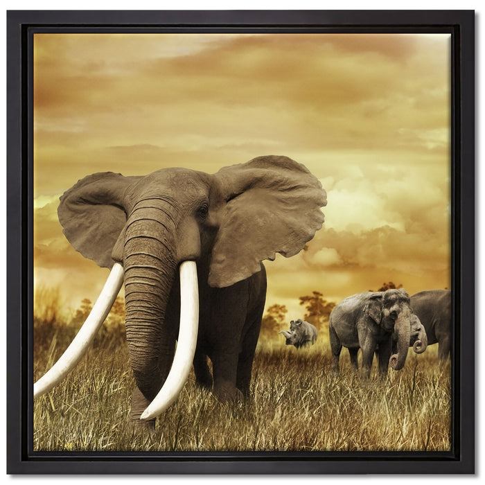 Stolzer Elefant in Savanne auf Leinwandbild Quadratisch gerahmt Größe 40x40