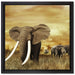 Stolzer Elefant in Savanne auf Leinwandbild Quadratisch gerahmt Größe 40x40