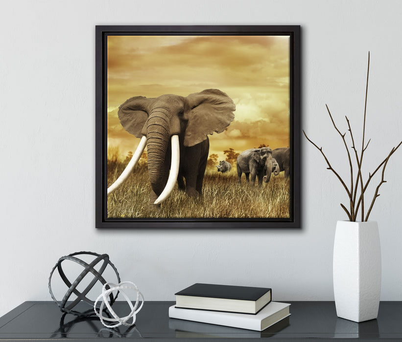 Stolzer Elefant in Savanne  auf Leinwandbild Quadratisch gerahmt mit Kirschblüten
