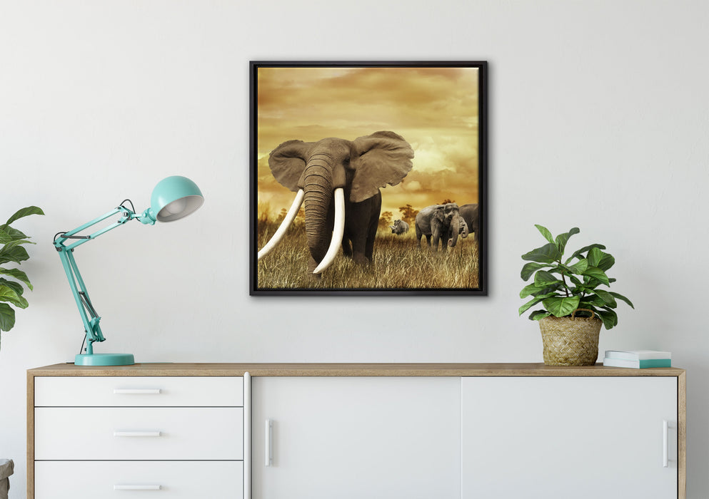 Stolzer Elefant in Savanne auf Leinwandbild gerahmt Quadratisch verschiedene Größen im Wohnzimmer