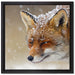 Fuchs im Schnee auf Leinwandbild Quadratisch gerahmt Größe 40x40