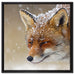 Fuchs im Schnee auf Leinwandbild Quadratisch gerahmt Größe 60x60
