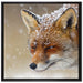 Fuchs im Schnee auf Leinwandbild Quadratisch gerahmt Größe 70x70