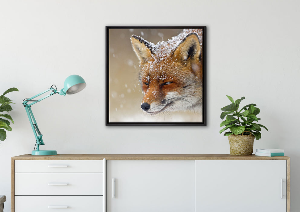 Fuchs im Schnee auf Leinwandbild gerahmt Quadratisch verschiedene Größen im Wohnzimmer