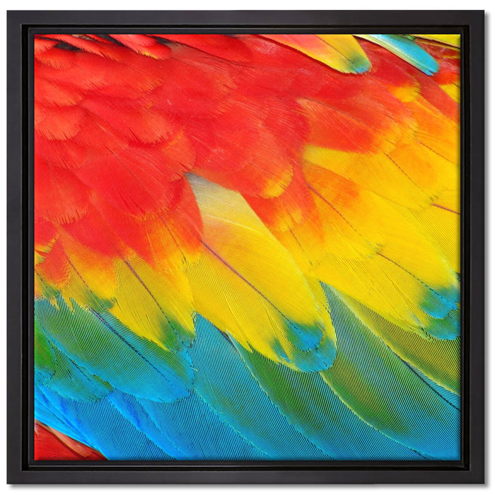 Bunte Papageien Flügel auf Leinwandbild Quadratisch gerahmt Größe 40x40