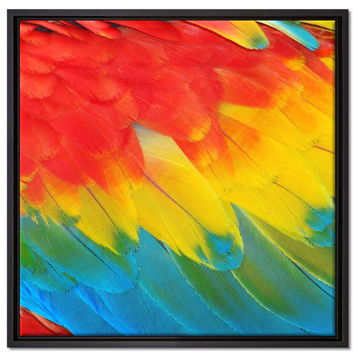 Bunte Papageien Flügel auf Leinwandbild Quadratisch gerahmt Größe 60x60