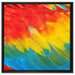 Bunte Papageien Flügel auf Leinwandbild Quadratisch gerahmt Größe 60x60
