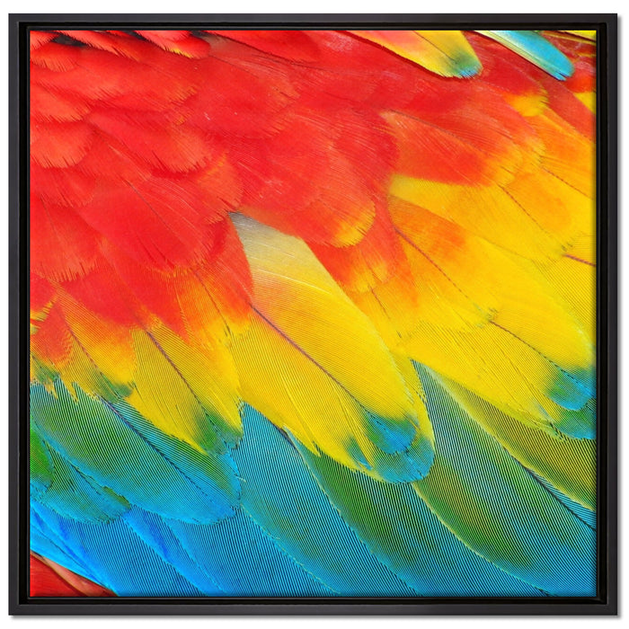Bunte Papageien Flügel auf Leinwandbild Quadratisch gerahmt Größe 70x70