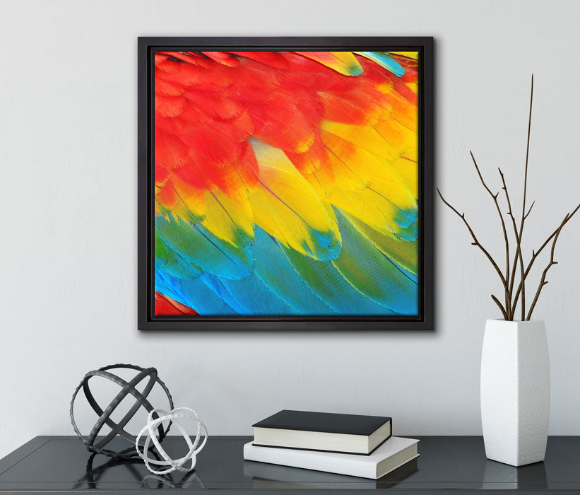 Bunte Papageien Flügel  auf Leinwandbild Quadratisch gerahmt mit Kirschblüten