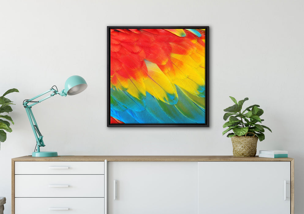 Bunte Papageien Flügel auf Leinwandbild gerahmt Quadratisch verschiedene Größen im Wohnzimmer