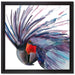 Exotischer Vogel Kunst auf Leinwandbild Quadratisch gerahmt Größe 40x40