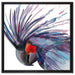 Exotischer Vogel Kunst auf Leinwandbild Quadratisch gerahmt Größe 60x60