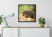 Igel im Laub auf Leinwandbild gerahmt Quadratisch verschiedene Größen im Wohnzimmer