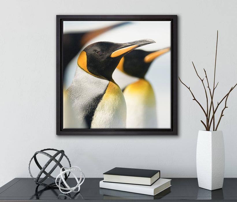 Pinguine  auf Leinwandbild Quadratisch gerahmt mit Kirschblüten