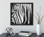 Zebra Porträt  auf Leinwandbild Quadratisch gerahmt mit Kirschblüten