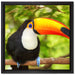 Exotischer Tukan auf Leinwandbild Quadratisch gerahmt Größe 40x40