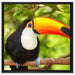 Exotischer Tukan auf Leinwandbild Quadratisch gerahmt Größe 60x60